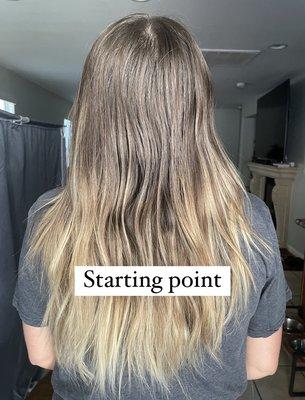 8 month grow out from my previous stylist. Perfect canvas.