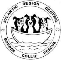 Atlantic Region Central Border Collie Rescue