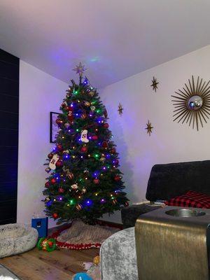 8 ft Noble Fir. Great layout, simple pricing & best customer service- was easy/made for a fun family outing. Coming back nxt yr!