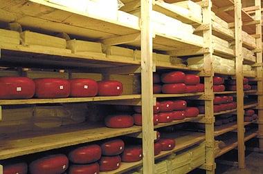 Gouda cheeses stacked for aging.