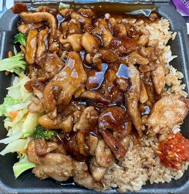 Chicken Teriyaki extra sauce