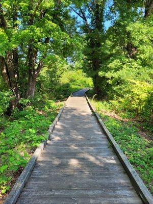 Boardwalk