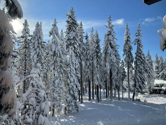 Incline weather. Recommend a pedicure when snowing. Found a great place!