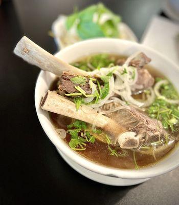 Beef Rib Pho