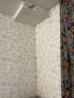 Filthy wallpaper that is falling off, revealing the mold behind it.