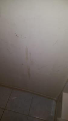 Bathroom walls filthy!