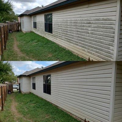 House siding wash. Removal of algae growth.