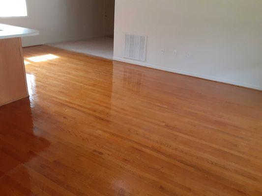 Refinished these wood floors.