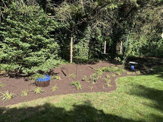 Yard Clean Up and fresh new brown mulch