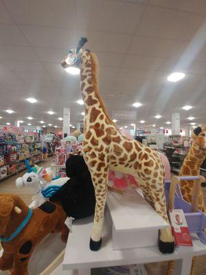 D' $99.99 baby giraffe Nov 2019 Homegoods park city