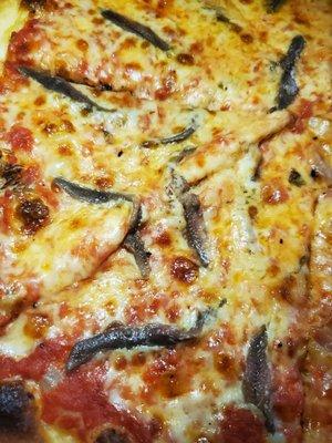 Anchovy Upclose