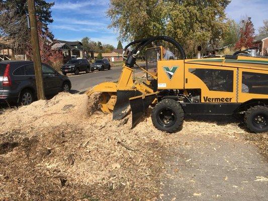 Large Stump Grind