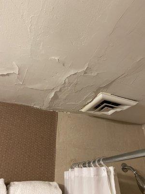 Ceiling collapsing