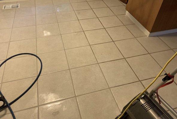 Portland NW Carpet Cleaning