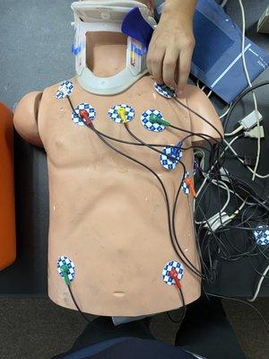 CPR & AED Training