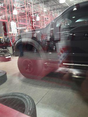 Raptor getting new shoes!!