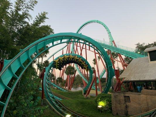 Kumba Rollercoaster, Busch gardens theme park, Tampa, FL