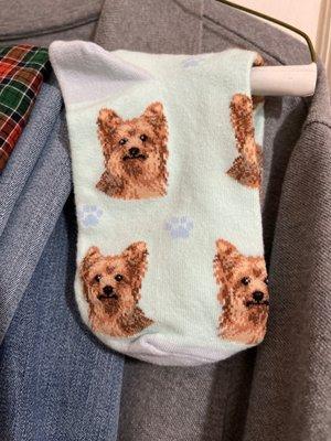 Yorkie socks