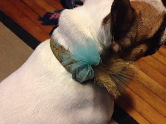 Topped with a bow, color coordinated with her collar! Love the flourish and the attention to detail!