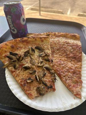 Two slice lunch special, one plain, one mushroom