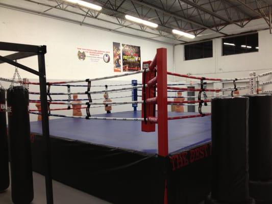 Full Size Ring, Punching Bags.  Yaw-Yan Martial Arts US HQ  Rockville, Maryland