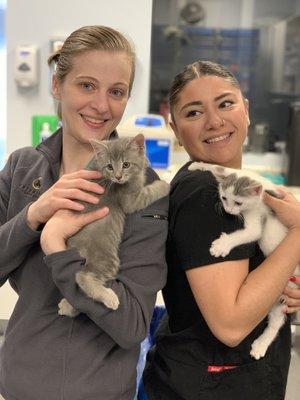 Kristin with Koko, Brittney with Momo. Recently adopted brother and sister duo