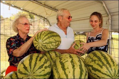 Cave City Watermelon Festival Each August
 http://cavecityarkansas.info/watermelon-festival/