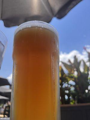 22oz Mango Blond tap ($8.25)