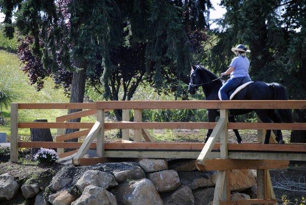 Cascadia Trail Course, available for clinic rental and haul-ins