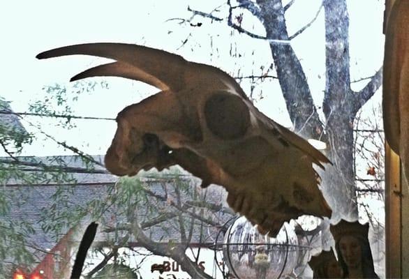 A goat skull in the window.