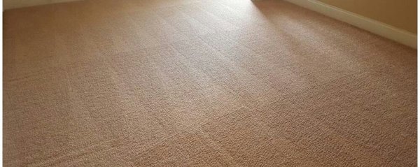 Carpet cleaning specialist