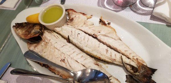 Grilled bronzini