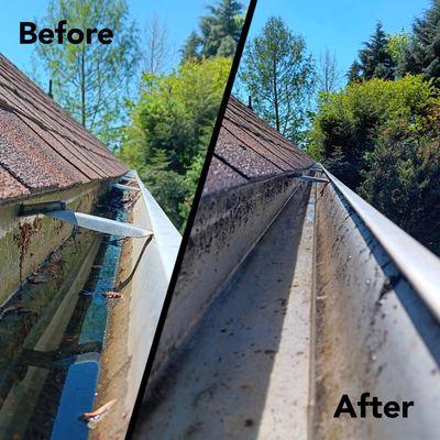 Our professional gutter cleaning service in Maryville, TN - Call today for a free estimate!