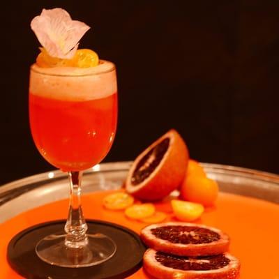 Blood orange kumquat gin and tonic