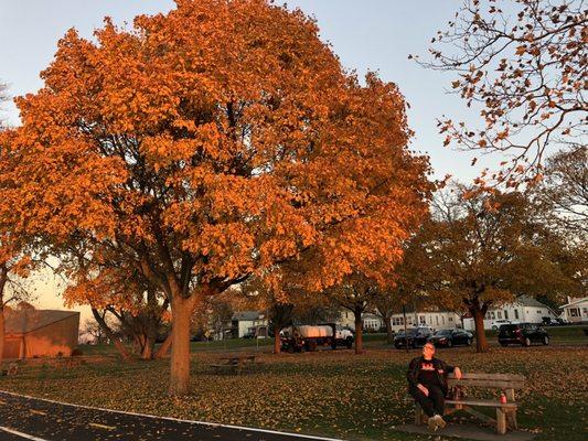 This park is especially beautiful in the fall