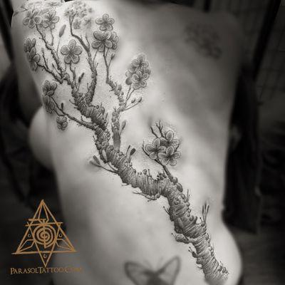 Cherry blossom back piece by Joe Wood @joewoodtattoo