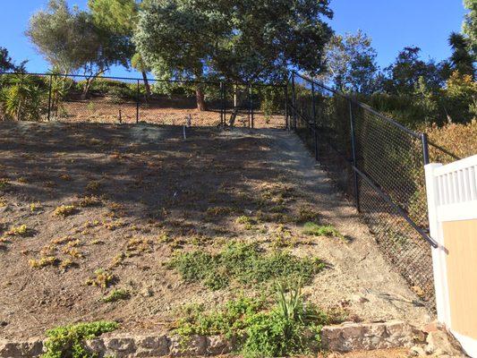 6' Black chain link fence with gate.