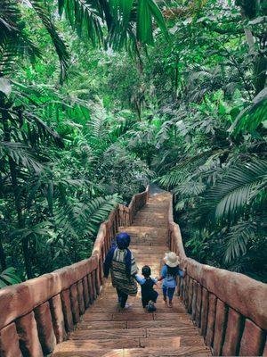 Little Explorers Family Travel