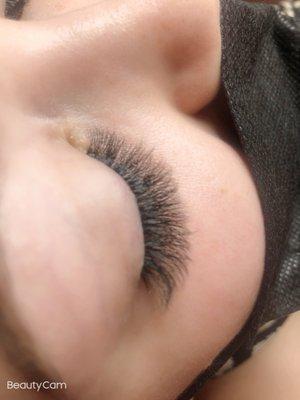 Luxurious Lashes