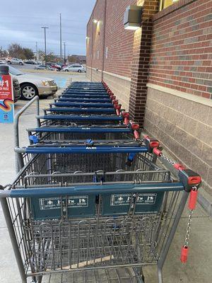 Grocery Carts