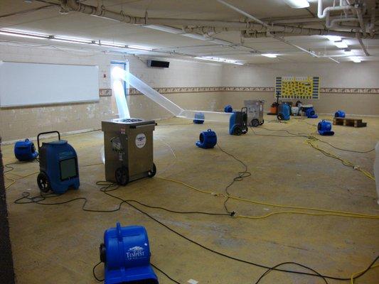 Water removal and drying in Parkland, FL