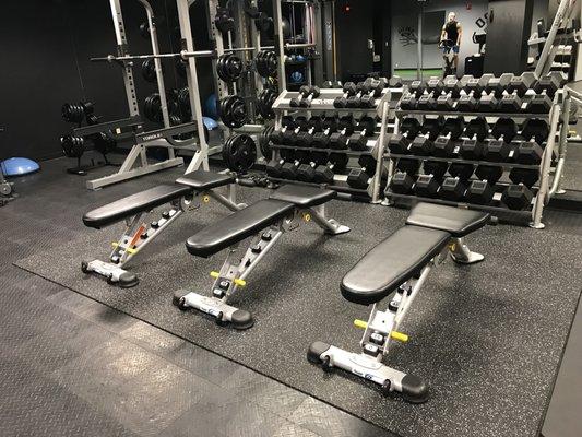 Fully stocked dumbbells