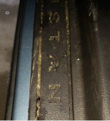 My car was repossessed by CEFCU. When I got my car back they had left the windows down. That is mold from the windows being left down.