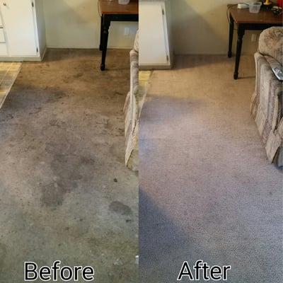 Call COIT Omaha for your carpets today!