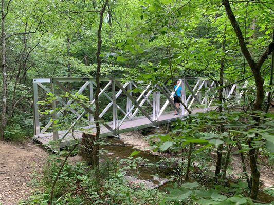 Cool bridge by the creek.