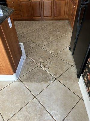 Got dirty tile?