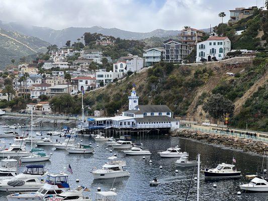 Magical place 
 Catalina Island!!