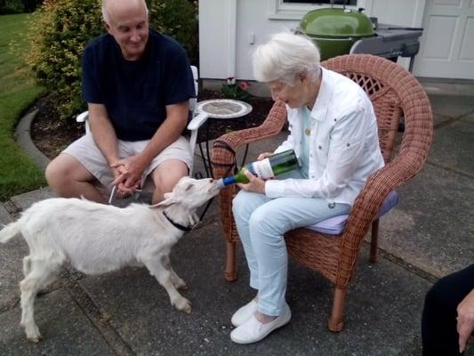 Visiting with a client, feeding a baby goat