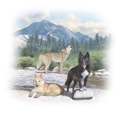 Playing With Wolves, Wolf Education for Children of All Ages