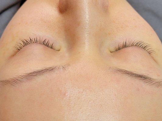 Lifted lashes by kelly